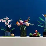 LEGO BOTANICAL COLLECTION: ORCHID