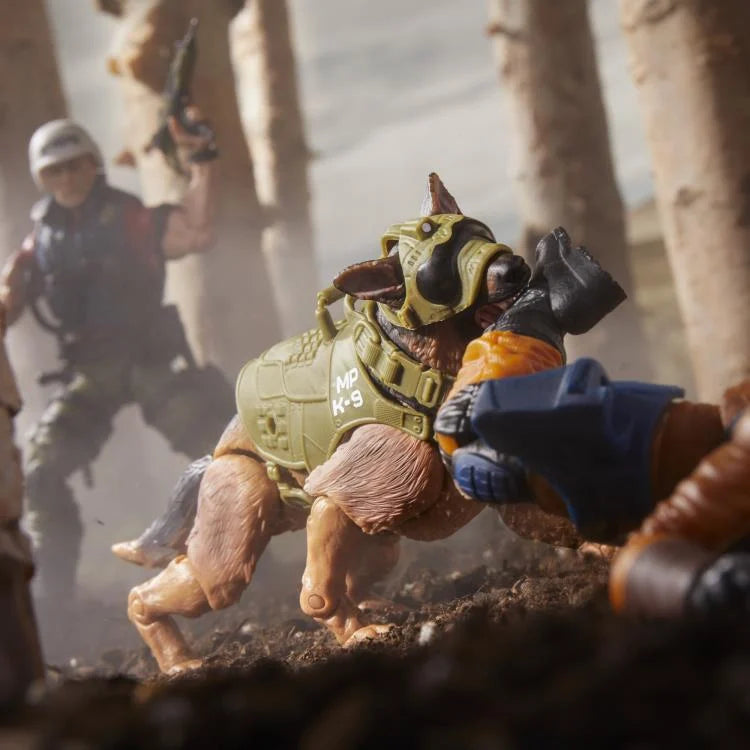 G.I. Joe Christopher 'Law' Lavigne & Order