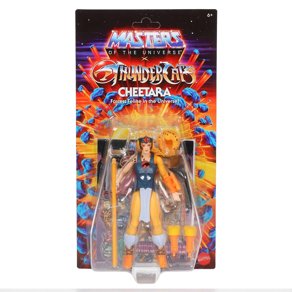 Masters of the Universe x Thundercats Cheetara