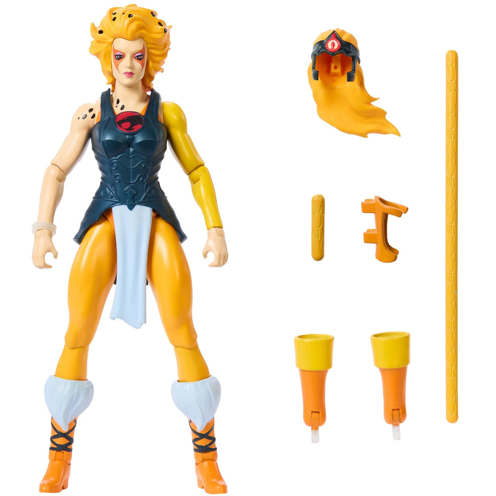 Masters of the Universe x Thundercats Cheetara