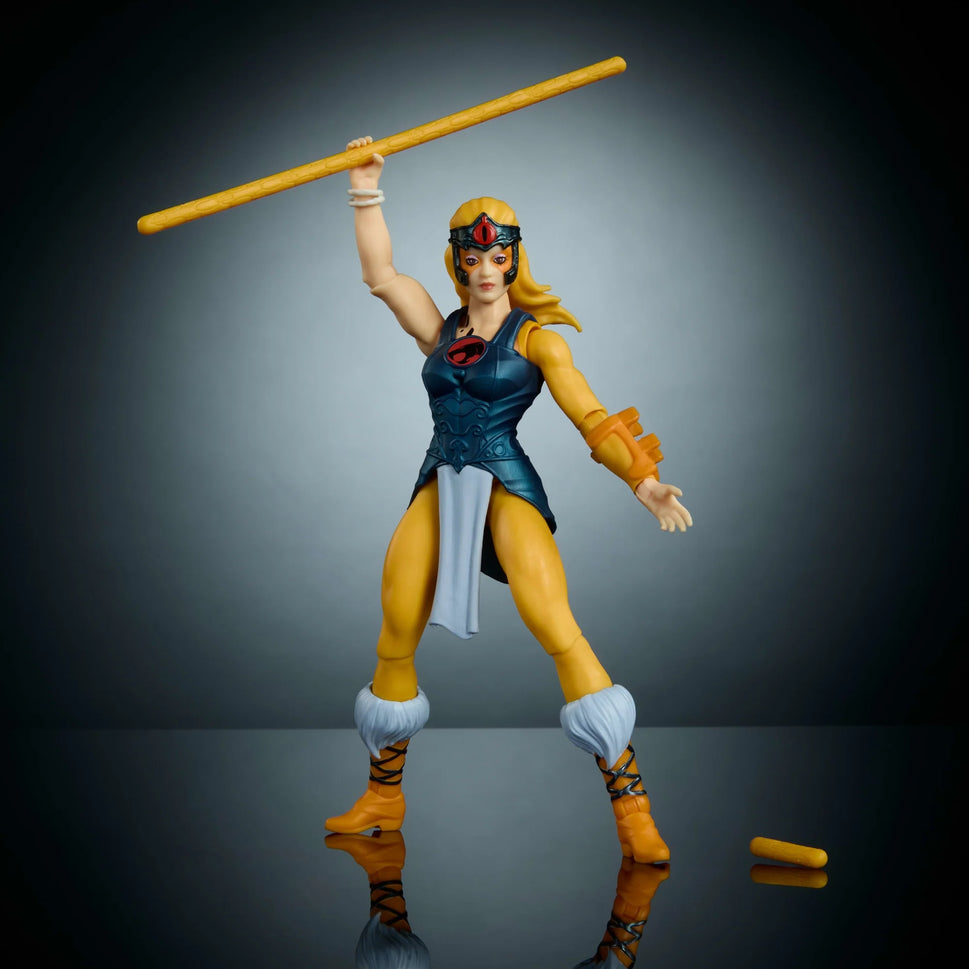 Masters of the Universe x Thundercats Cheetara