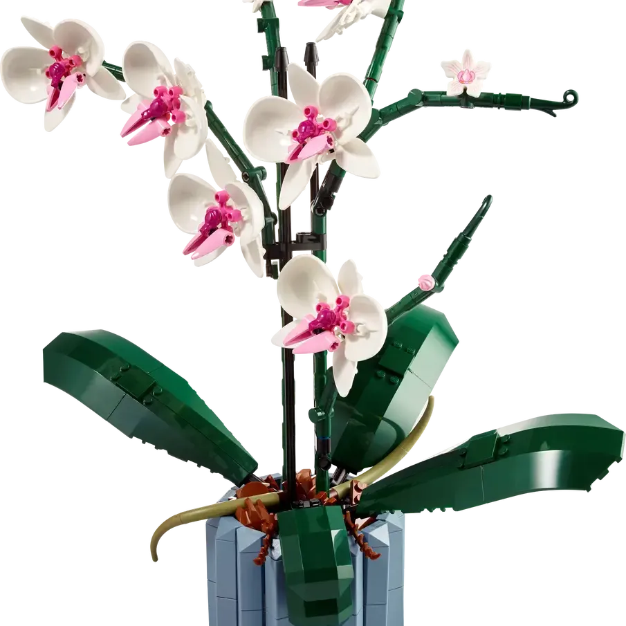 LEGO BOTANICAL COLLECTION: ORCHID