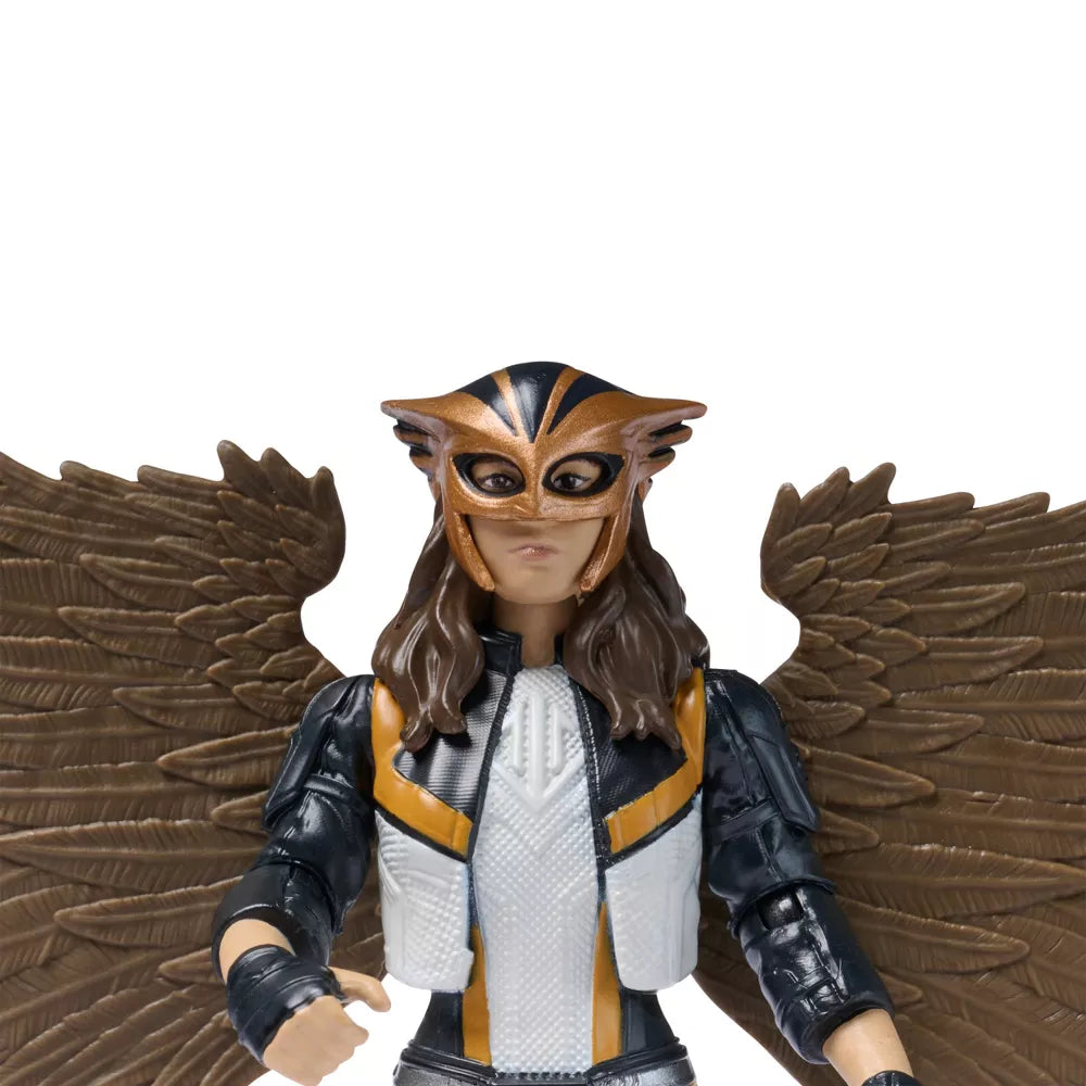 DC Comics Superman: Hawkgirl