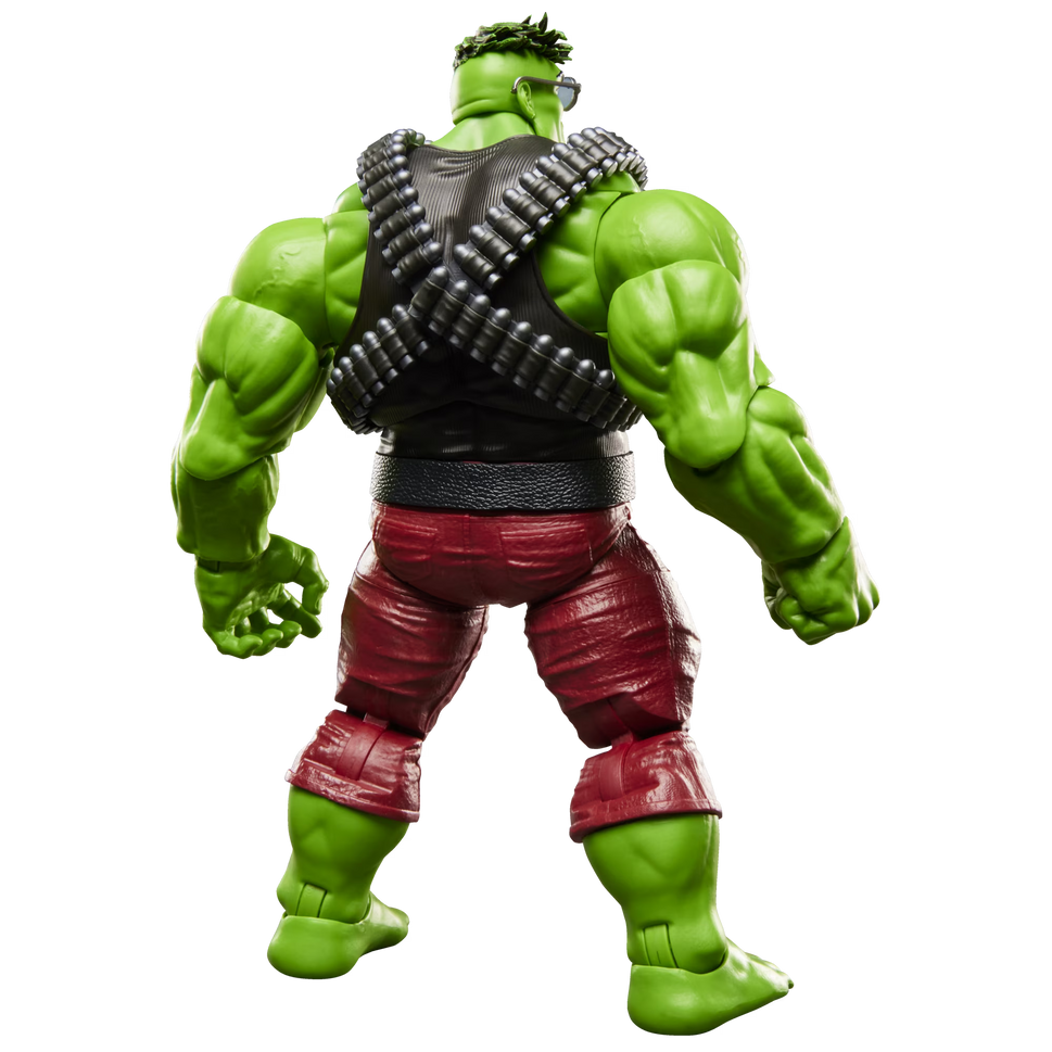 Marvel legend Series The Incredible Hulk Professor Hulk
