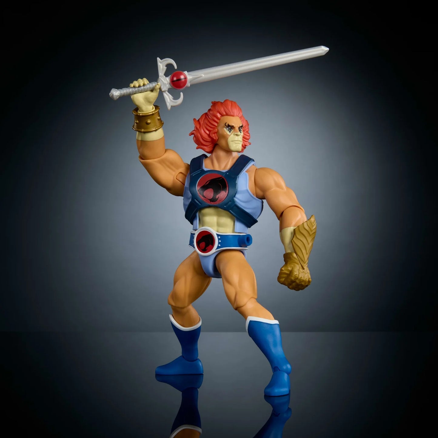 MASTERS OF THE UNIVERSE X THUNDERCATS LION-O