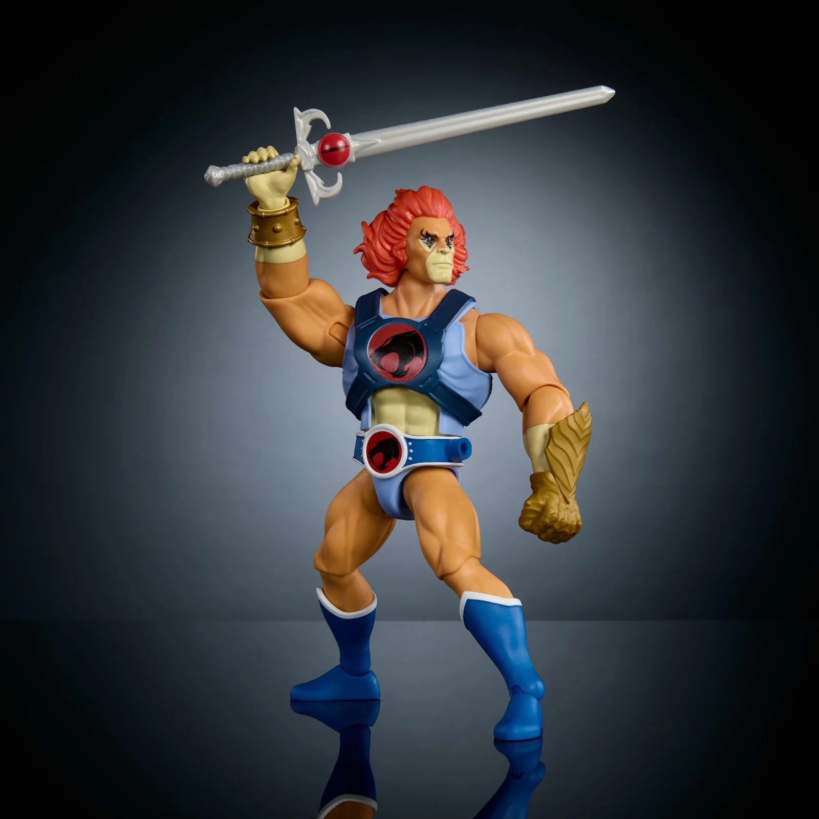 MASTERS OF THE UNIVERSE X THUNDERCATS LION-O