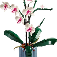 LEGO Botanical Collection: Orchid