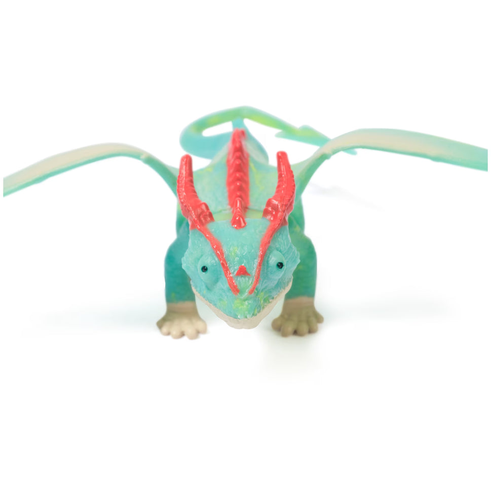 How To Train Your Dragon 'Terrible Terrors'